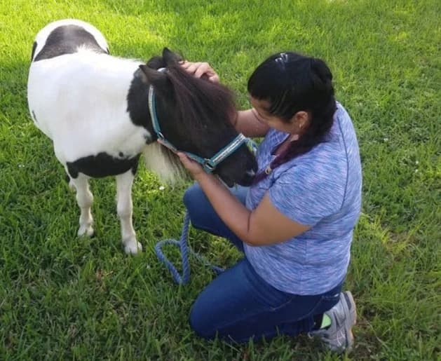 Animal Reiki