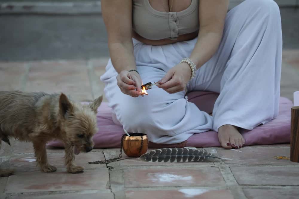 Sol Frequency Journey