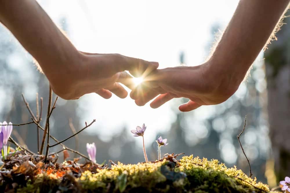 Bioenergy Healing Session