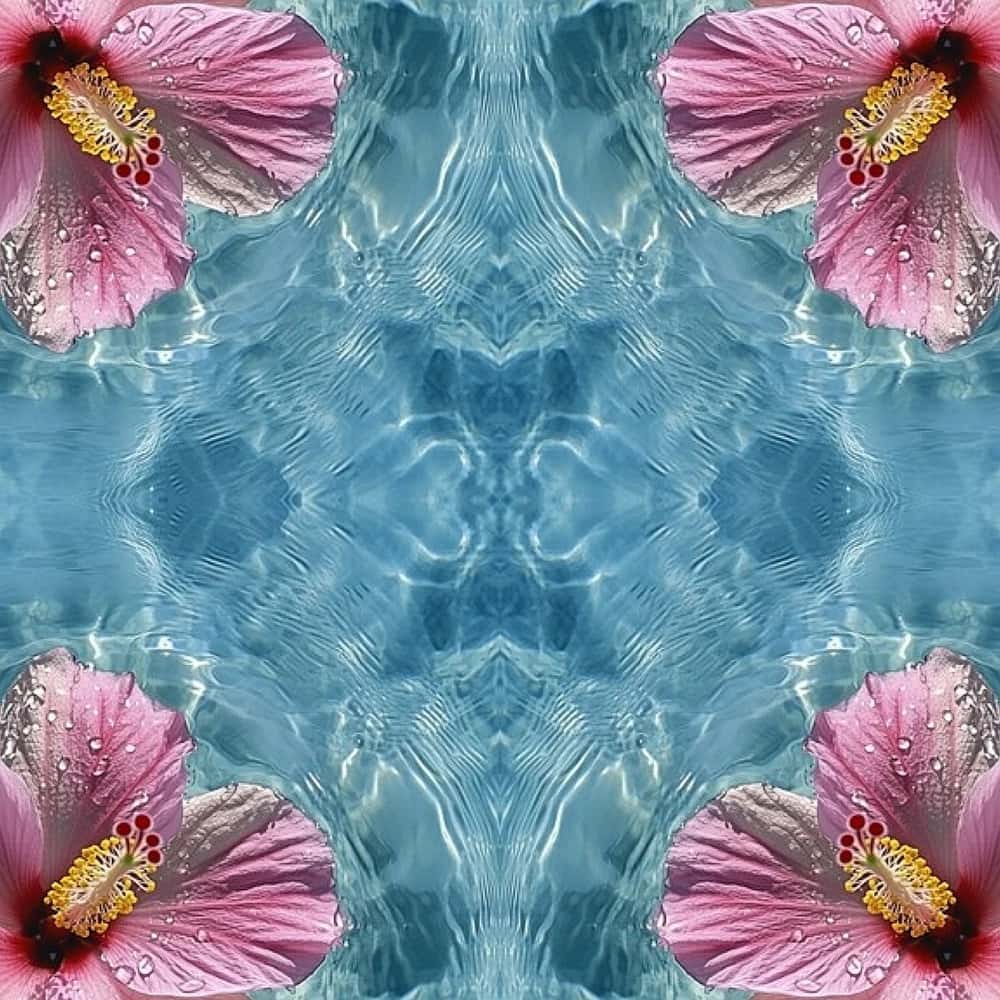 Soul Grid Essence 💠