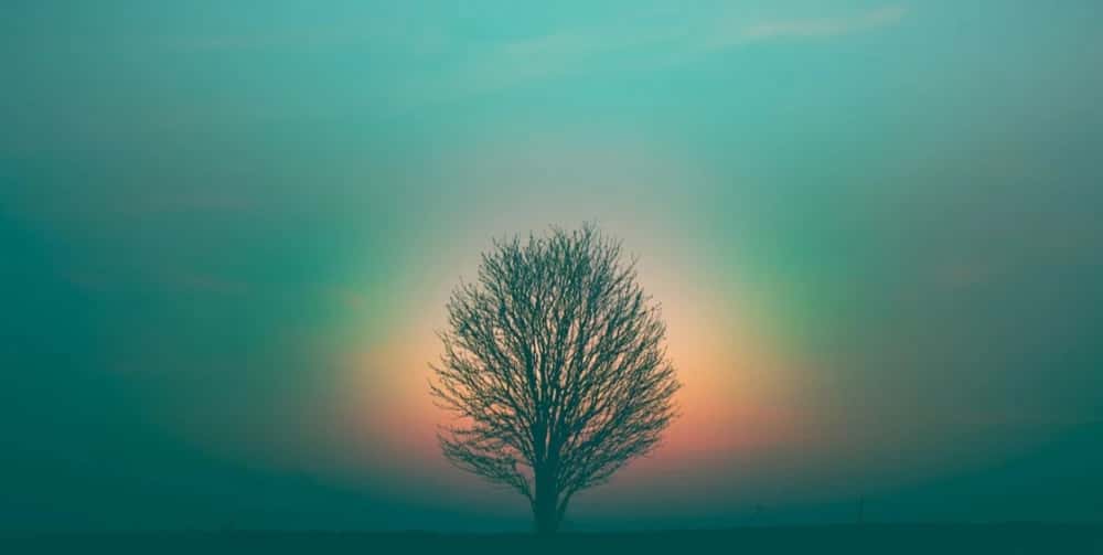 Learn Mediumship Abilities - Connect with your Loved Ones and your Spirit Guides