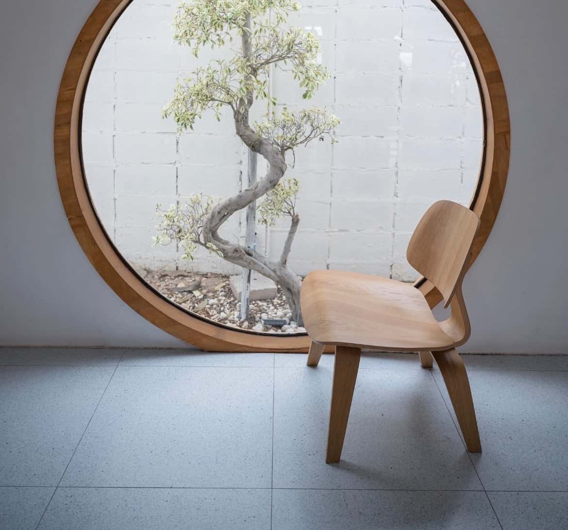 Chair Yoga for Healthy Aging