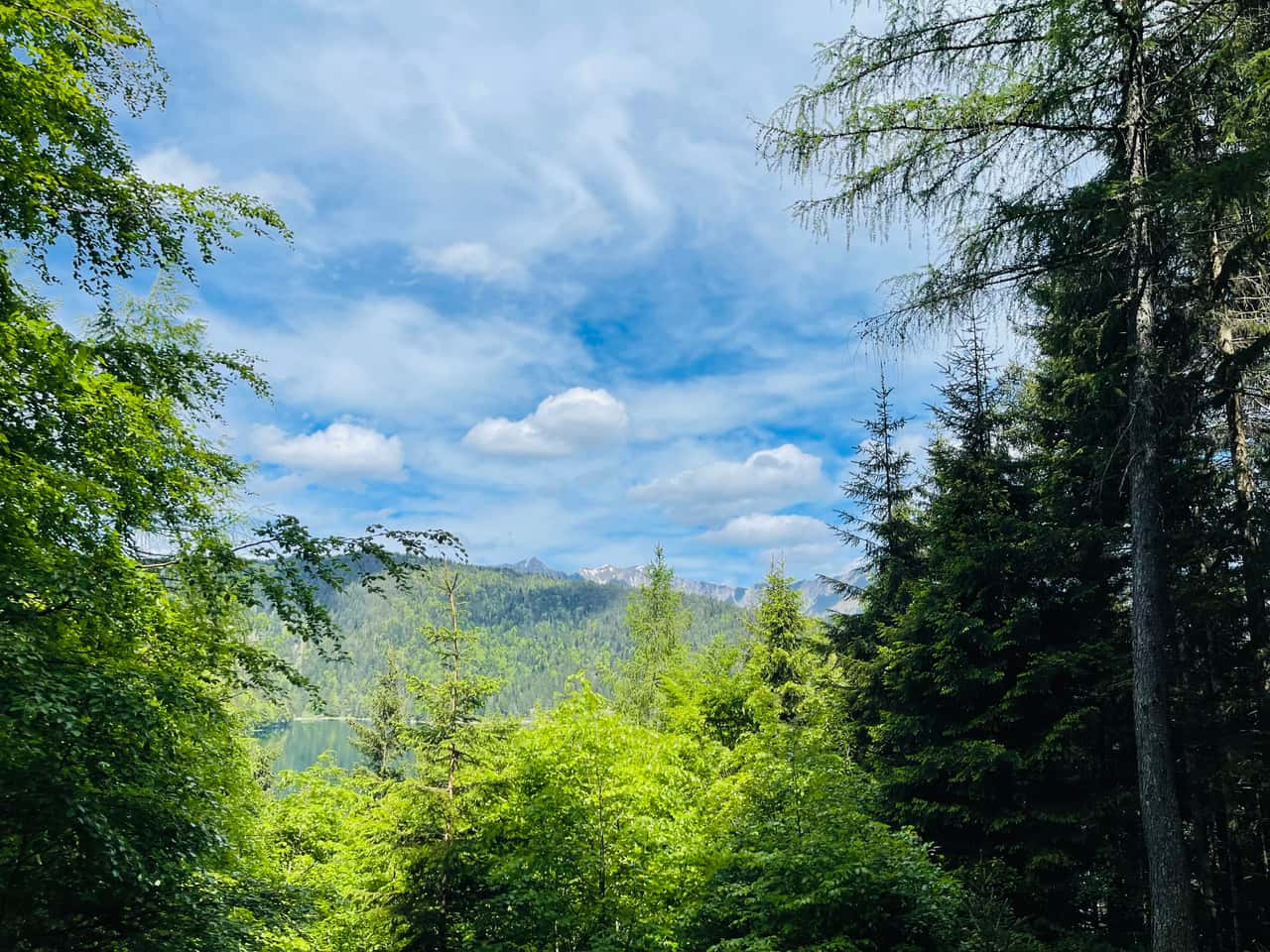Deep Dive Reiki Journey - 6 sessions of One-hour